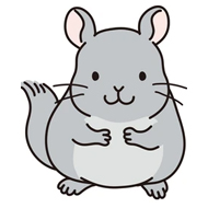 Chinchillas