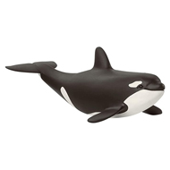 Orcas