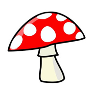 Paddestoelen