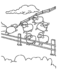 Schapen - Kleurplaat038