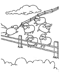 Schapen - Kleurplaat045