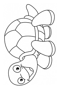 Schildpadden - Kleurplaat014