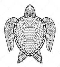 Schildpadden - Kleurplaat016