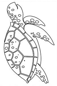 Schildpadden - Kleurplaat032