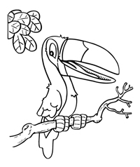 Toekan - Kleurplaat002