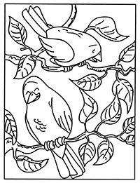 Vogels - Kleurplaat009